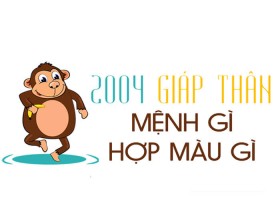 Sinh năm 2004 mệnh gì? hợp hướng nào? đeo đá màu gì?
