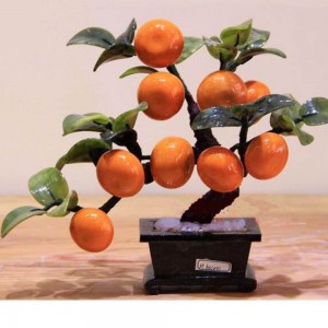 Cây quất tài lộc ngọc hoàng long