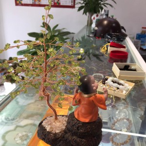 Cây tài lộc đá peridot