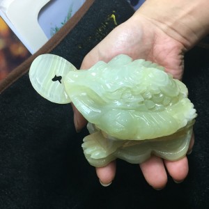 Cóc tài lộc ngọc pakistan