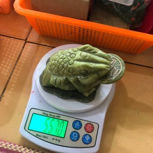 Cóc tài lộc ngọc xanh ấn độ