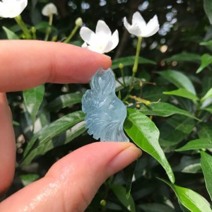 Hồ ly đá aquamarine đuôi dài
