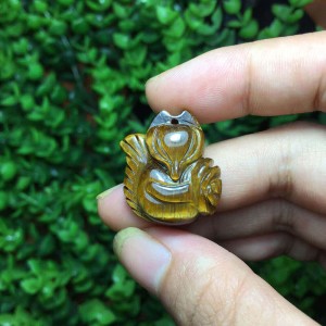 Hồ ly đá mắt hổ