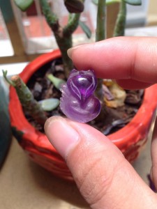 Hồ ly đá thạch anh tím