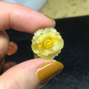 Hoa mẫu đơn đá mắt hổ vàng