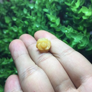 Hoa mẫu đơn ngọc hoàng long