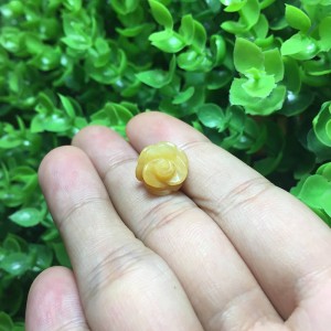 Hoa mẫu đơn ngọc hoàng long