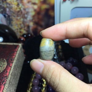 Lu thống đá gỗ hóa thạch