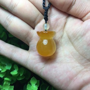 Túi tiền đá não não