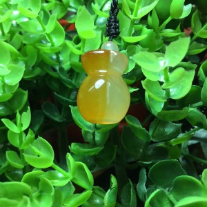 Túi tiền đá não não