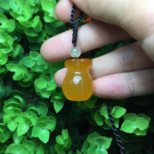 Túi tiền đá não não