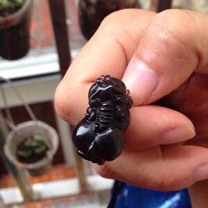 Tỳ hưu thạch anh đen